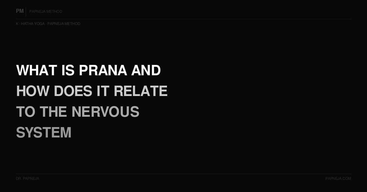 K04. What is Prana and how does it relate to the nervous system?