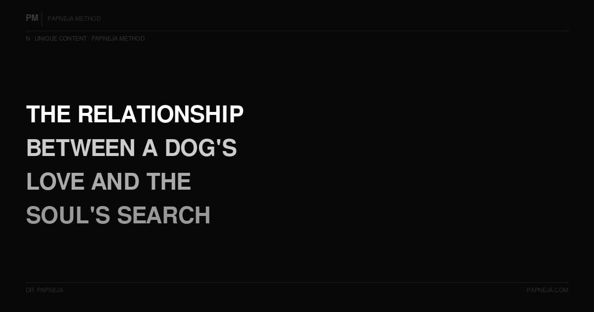 N10. What is the relationship between a dog's love and the soul's search for the Sound Current?