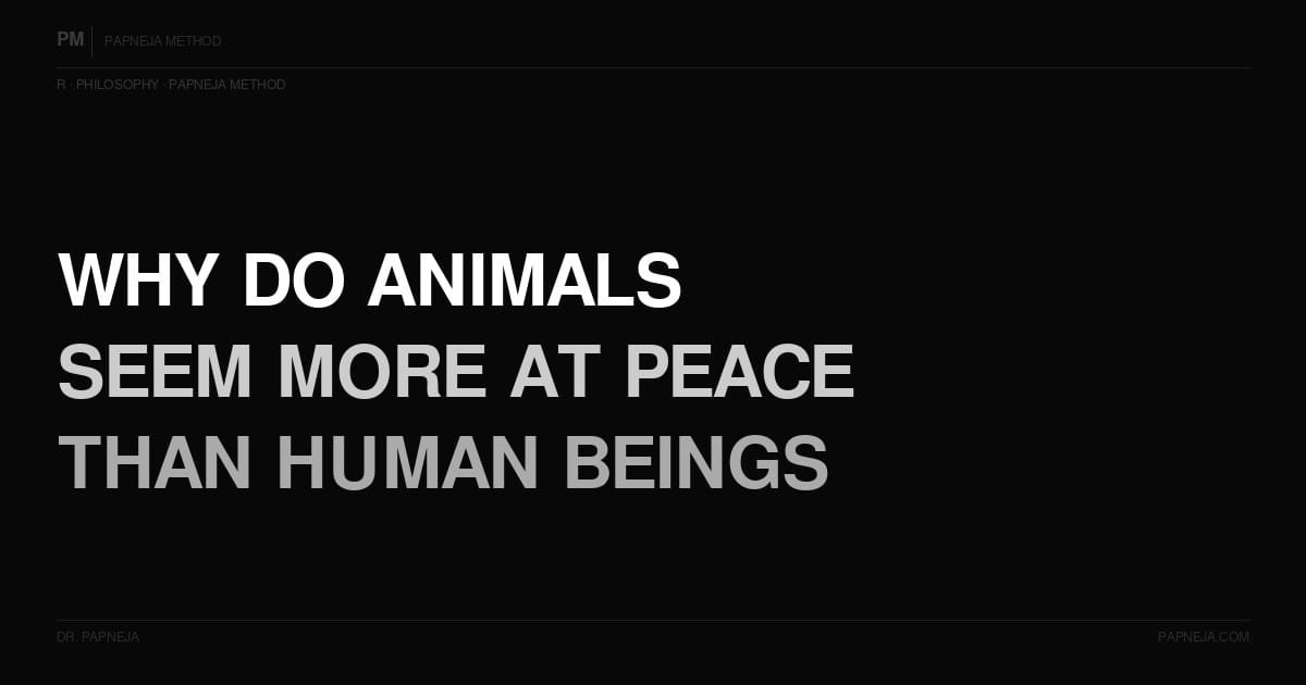 R13. Why do animals seem more at peace than human beings?